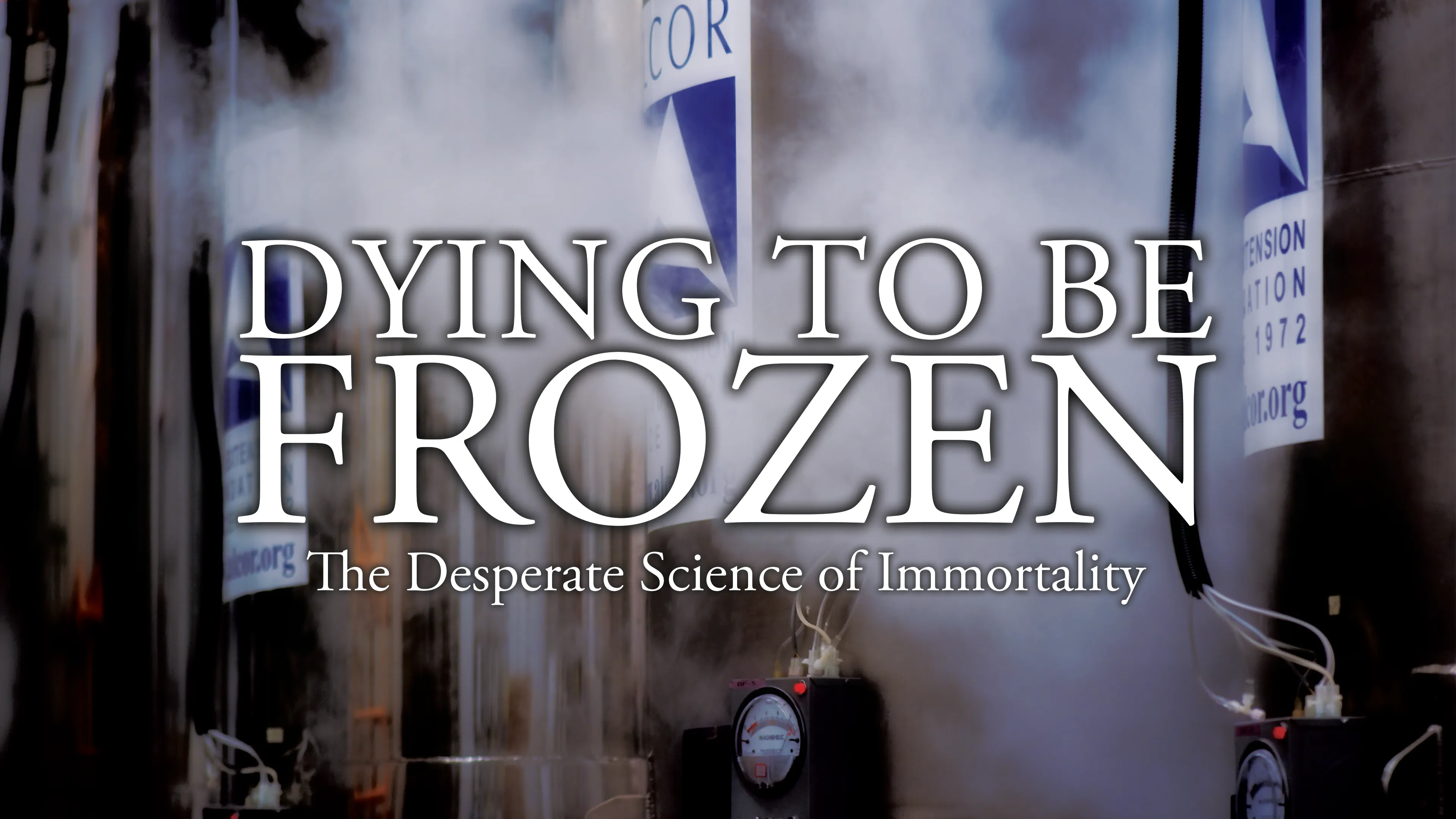 Dying to Be Frozen poster